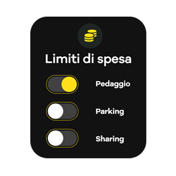 Indicatore limiti di spesa