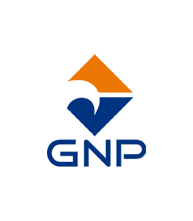 GNP