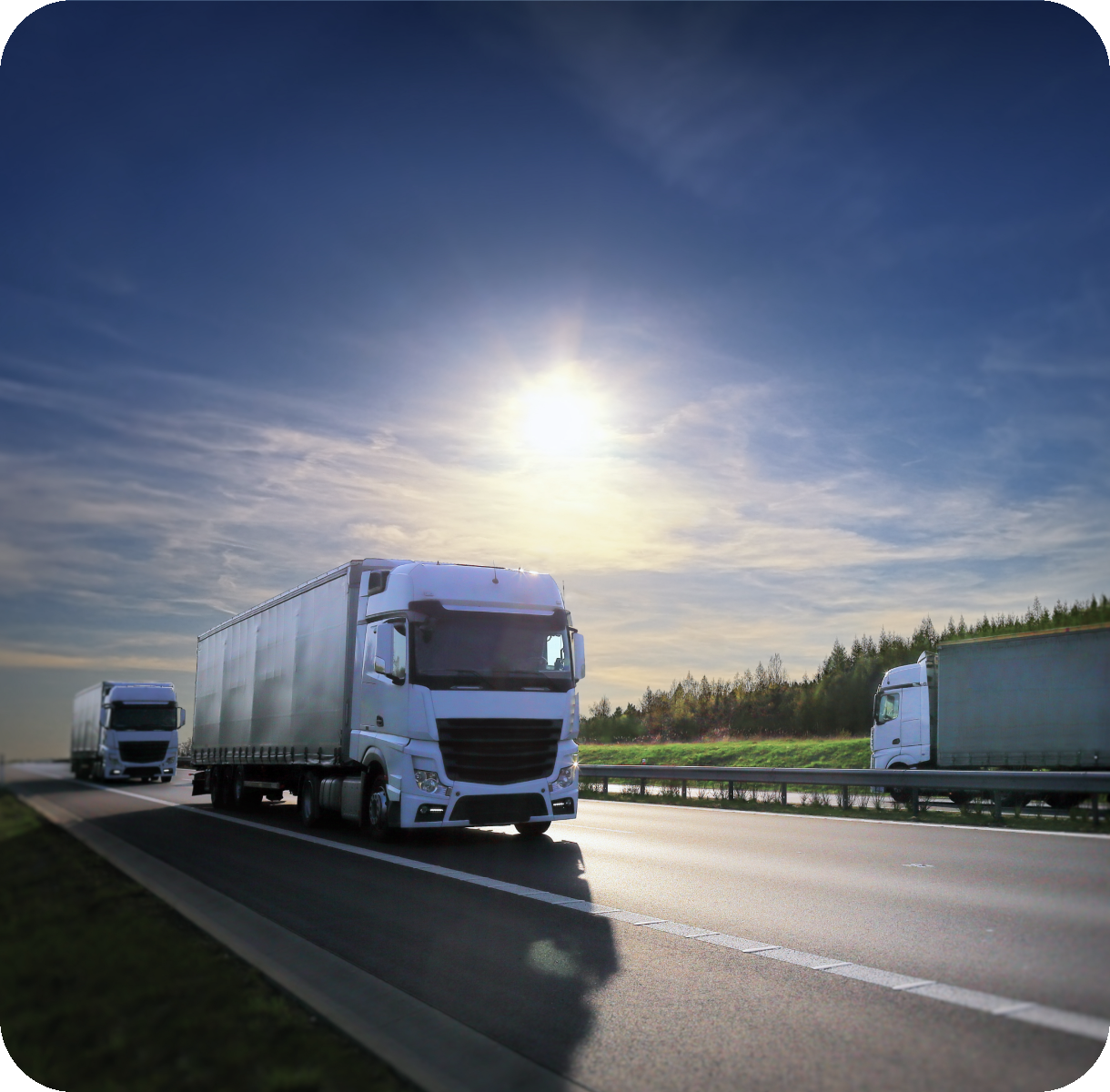 truck-side-content-filiera-coordinata